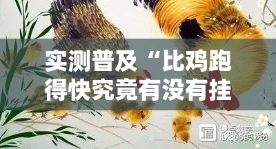实测普及“比鸡跑得快究竟有没有挂	”开挂步骤方法
