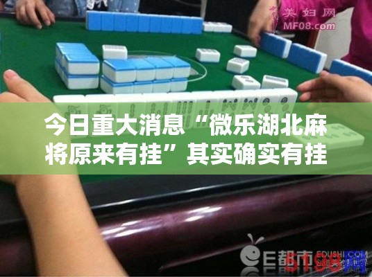 今日重大消息“微乐湖北麻将原来有挂”其实确实有挂