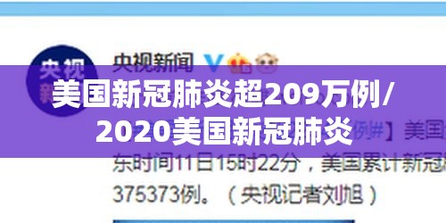 美国新冠肺炎超209万例/2020美国新冠肺炎