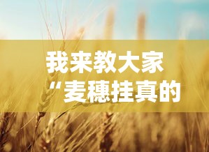 我来教大家“麦穗挂真的假的”真的有挂