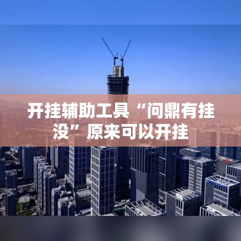 开挂辅助工具“问鼎有挂没”原来可以开挂