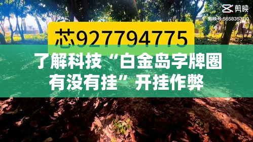 了解科技“白金岛字牌圈有没有挂”开挂作弊