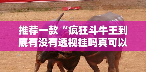 推荐一款“疯狂斗牛王到底有没有透视挂吗真可以装挂 推荐一款“疯狂斗牛王到底有没有透视挂吗真可以装挂