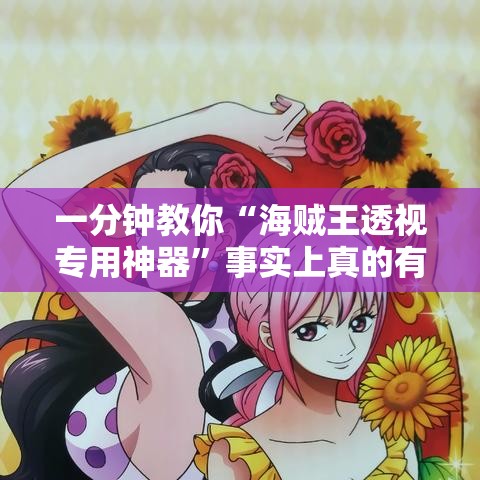 一分钟教你“海贼王透视专用神器	”事实上真的有挂