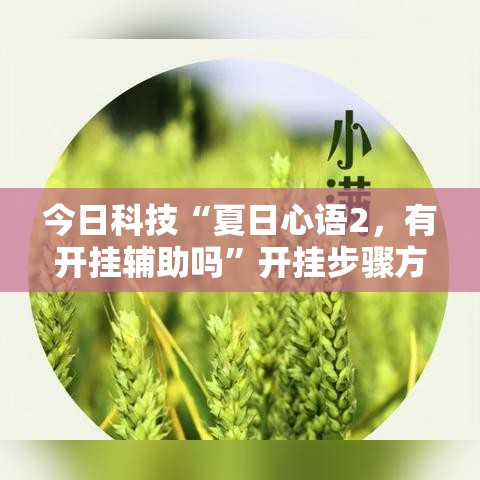 今日科技“夏日心语2，有开挂辅助吗”开挂步骤方法