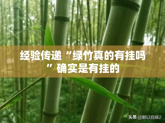 经验传递“绿竹真的有挂吗”确实是有挂的
