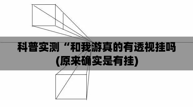 科普实测“和我游真的有透视挂吗(原来确实是有挂) 科普实测“和我游真的有透视挂吗(原来确实是有挂)