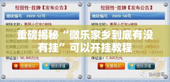 重磅揭秘“微乐家乡到底有没有挂”可以开挂教程