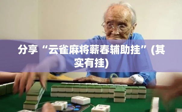 分享“云雀麻将蕲春辅助挂”(其实有挂)