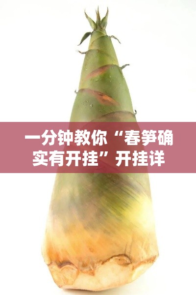 一分钟教你“春笋确实有开挂”开挂详细方法