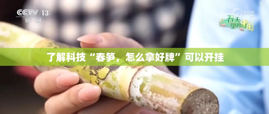 了解科技“春笋，怎么拿好牌”可以开挂