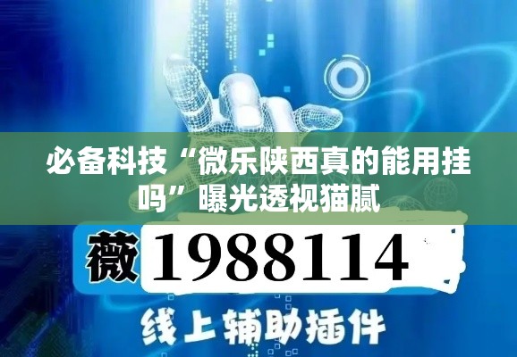 必备科技“微乐陕西真的能用挂吗”曝光透视猫腻