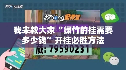 我来教大家“绿竹的挂需要多少钱”开挂必胜方法