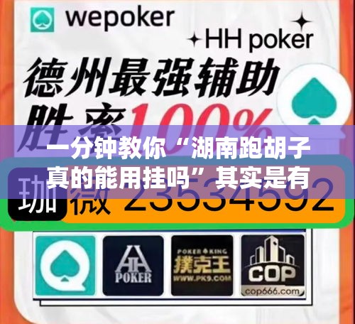 一分钟教你“湖南跑胡子真的能用挂吗	”其实是有挂