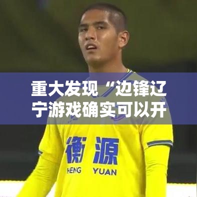 重大发现“边锋辽宁游戏确实可以开挂”其实确实有挂