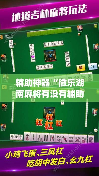 辅助神器“微乐湖南麻将有没有辅助器”(其实有挂)