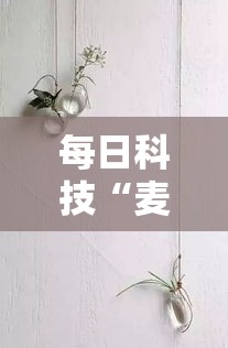 每日科技“麦穗到底有没有开挂器真可以装挂