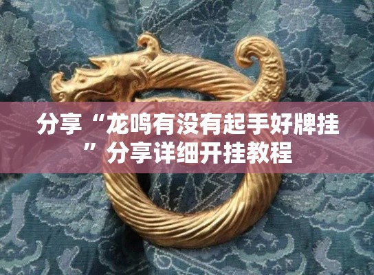 分享“龙鸣有没有起手好牌挂	”分享详细开挂教程