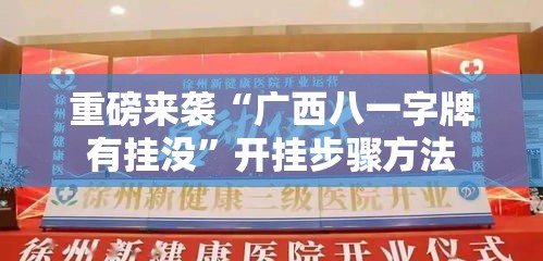 重磅来袭“广西八一字牌有挂没	”开挂步骤方法