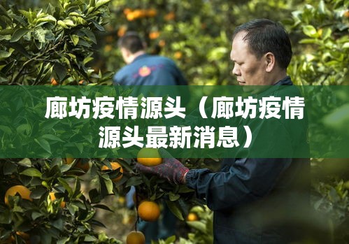 廊坊疫情源头(廊坊疫情源头最新消息) 廊坊疫情源头(廊坊疫情源头最新消息)