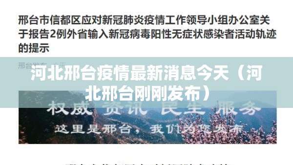 河北邢台疫情最新消息今天（河北邢台刚刚发布）