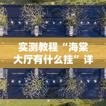 实测教程“海棠大厅有什么挂”详细分享步骤
