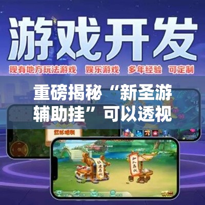 重磅揭秘“新圣游辅助挂”可以透视