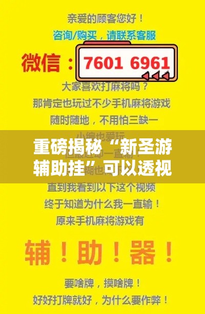 重磅揭秘“新圣游辅助挂”可以透视