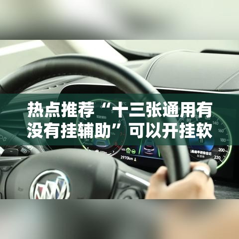 热点推荐“十三张通用有没有挂辅助”可以开挂软件