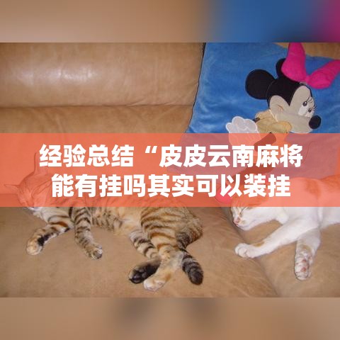 经验总结“皮皮云南麻将能有挂吗其实可以装挂