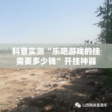 科普实测“乐吧游戏的挂需要多少钱”开挂神器