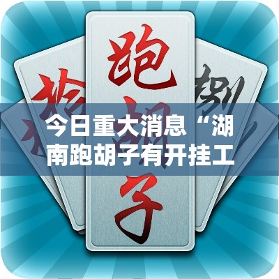 今日重大消息“湖南跑胡子有开挂工具吗”开挂详细教程
