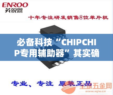 必备科技“CHIPCHIP专用辅助器	”其实确实有挂