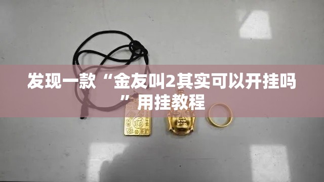 发现一款“金友叫2其实可以开挂吗”用挂教程