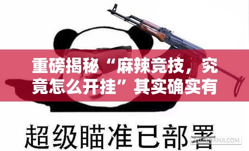 重磅揭秘“麻辣竞技，究竟怎么开挂”其实确实有挂