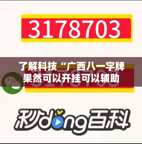 了解科技“广西八一字牌果然可以开挂可以辅助