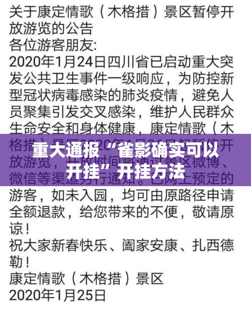 重大通报“雀影确实可以开挂”开挂方法