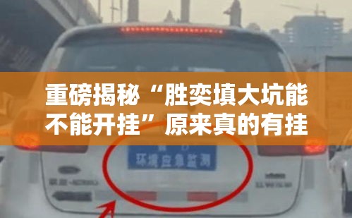 重磅揭秘“胜奕填大坑能不能开挂”原来真的有挂