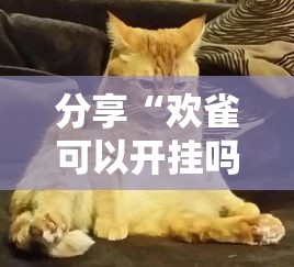 分享“欢雀可以开挂吗事实上确实有挂 分享“欢雀可以开挂吗事实上确实有挂