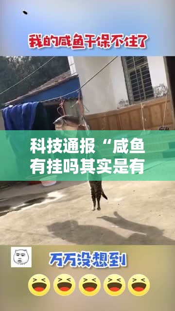 科技通报“咸鱼有挂吗其实是有挂”其实是有挂
