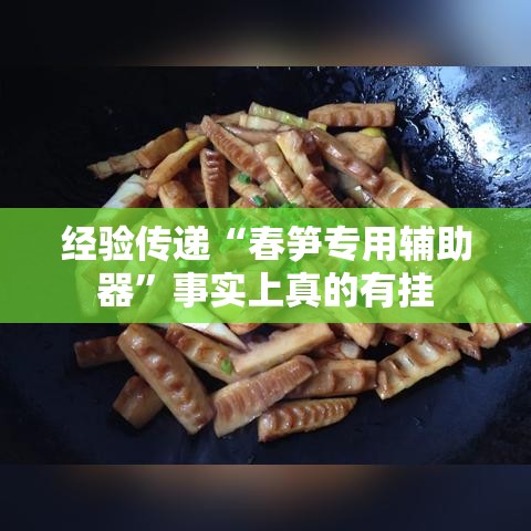 经验传递“春笋专用辅助器”事实上真的有挂