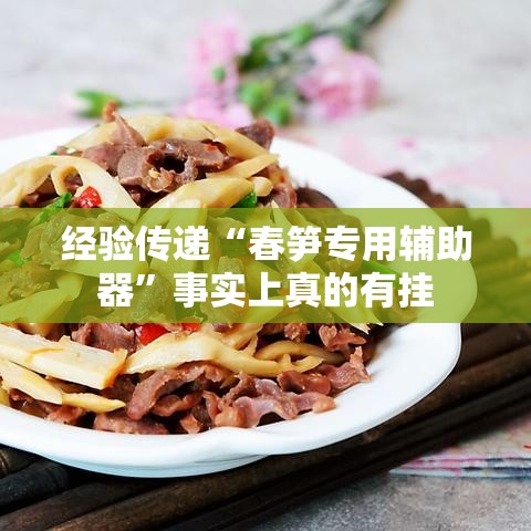 经验传递“春笋专用辅助器”事实上真的有挂