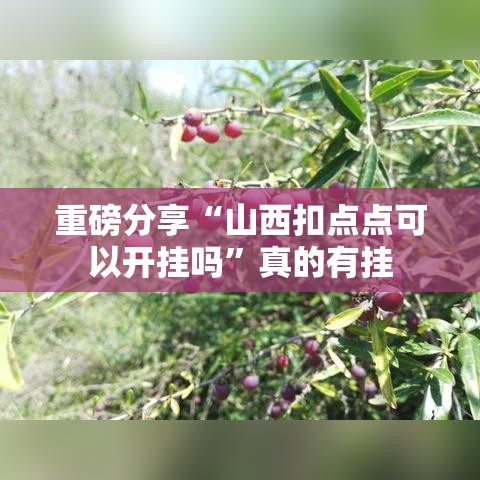 重磅分享“山西扣点点可以开挂吗”真的有挂