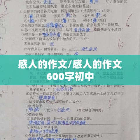 感人的作文/感人的作文600字初中 感人的作文/感人的作文600字初中