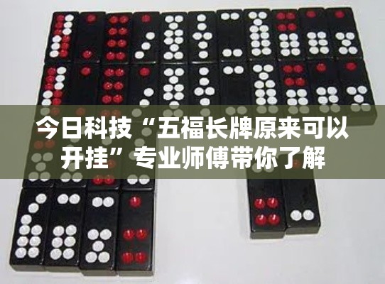 今日科技“五福长牌原来可以开挂”专业师傅带你了解