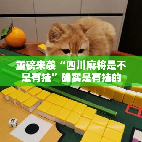 重磅来袭“四川麻将是不是有挂”确实是有挂的