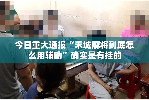 今日重大通报“禾城麻将到底怎么用辅助	”确实是有挂的