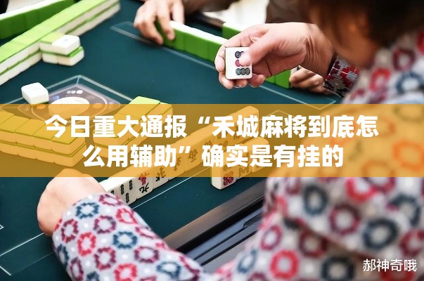 今日重大通报“禾城麻将到底怎么用辅助”确实是有挂的