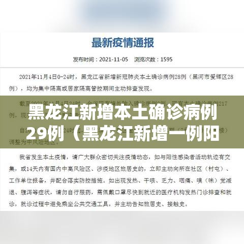 黑龙江新增本土确诊病例29例(黑龙江新增一例阳性感染者) 黑龙江新增本土确诊病例29例(黑龙江新增一例阳性感染者)