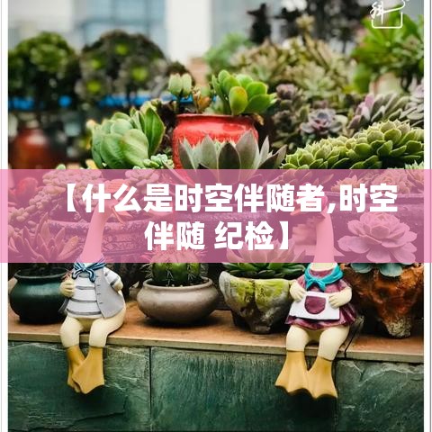 【什么是时空伴随者,时空伴随 纪检】 【什么是时空伴随者,时空伴随 纪检】